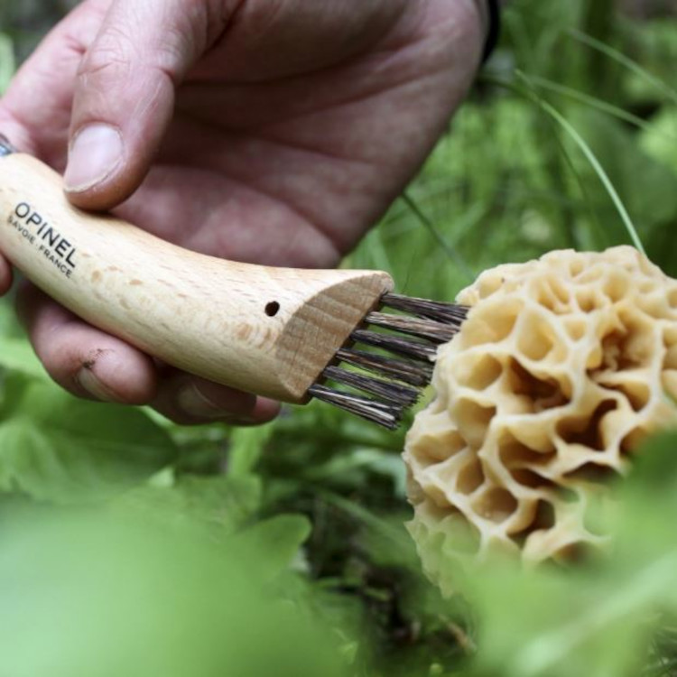 Opinel No 8 Mushroom Knife - Image 4